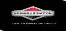 Briggs & Stratton motoare generatoare reparatii filtru aer Ing Trust Focsani utilaje scule service motosape masini de tuns iarba